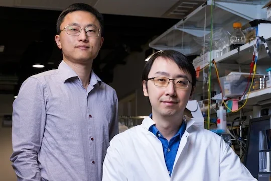 Researchers
